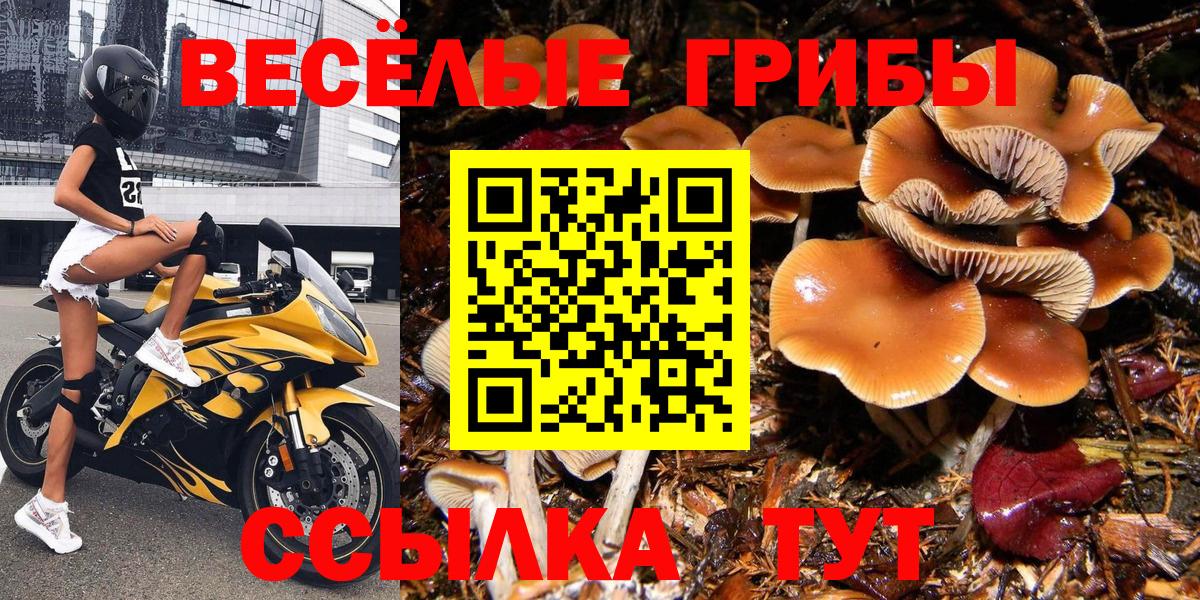 Галлюциногенные грибы мухоморы  Псилоцибиновые грибы MAGIC MUSHROOMS  магазин  наркотиков  Можайск  Вход с VPN 