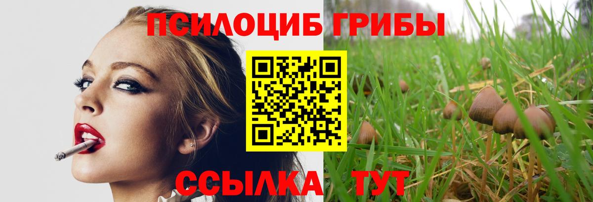 Галлюциногенные грибы прущие грибы Можайск
